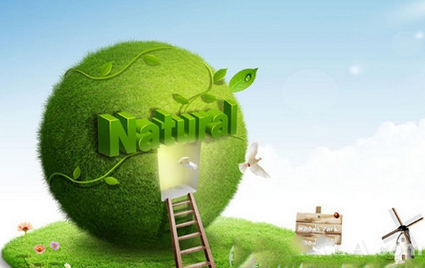 Green plastic innovation • Build forever